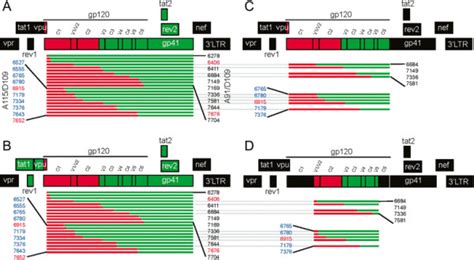 Systematic Strategies For Cloning Enva D Recombinant Sequences A