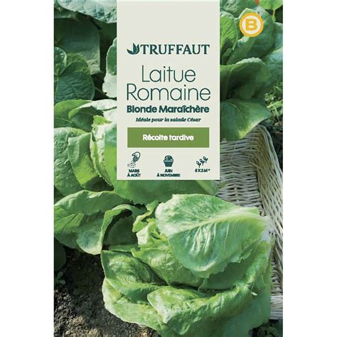Laitue Romaine Blonde Maraichere En Sachet Truffaut