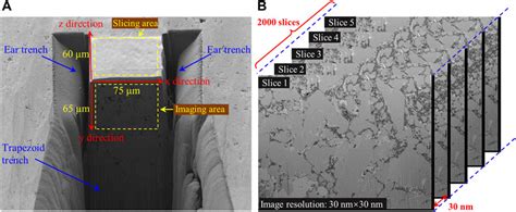 Frontiers Large Volume Fib Sem D Reconstruction An Effective Method