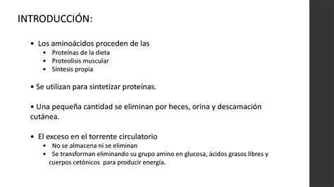 Solution Errores Cong Nitos Del Metabolismo De Los Aa Studypool