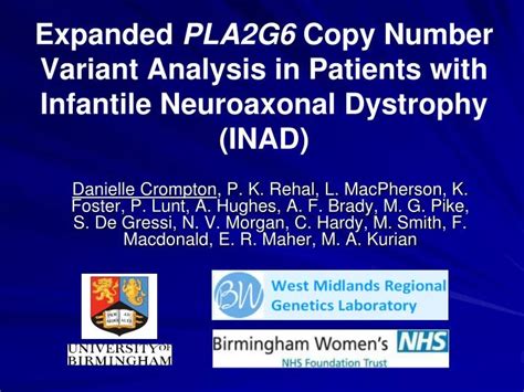 Ppt Phospholipase Associated Neurodegeneration Plan Powerpoint