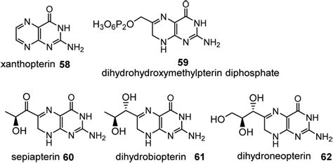 On The Evolution Of Coenzyme Biosynthesis ScienceDirect, 52% OFF