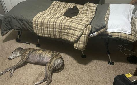 top sleeping bags 11