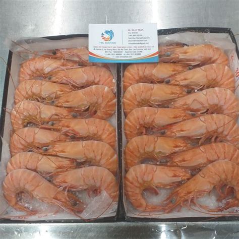 Raw Black Tiger Shrimp Hoso From Thai Minh Long Seafood In Vietnam