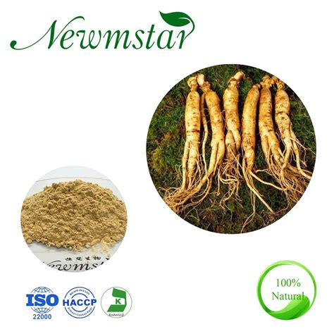 Panax Ginseng Root Extract Panax Ginseng Ginsenosides