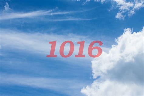 What Is The Message Behind The 1016 Angel Number Thereadingtub