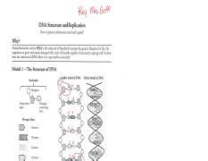 Gene Expression Transcription Worksheet Pogil Gene Expression