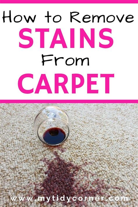 How To Remove Stains From Carpet Simple Tips Tricks Hacks