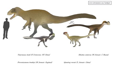 Crested Tyrants Proceratosaurids By Artbyjrc On Deviantart