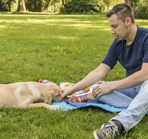 Richtig Korrigieren Im Hundetraining Wenn Er Etwas Davon Hat Macht