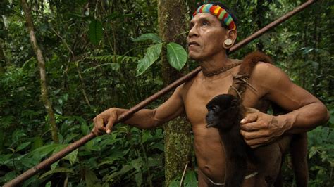 Amazon Tribes Found Living In Complete Isolation Photos News Au