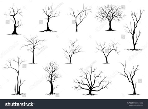 Black Branch Tree Naked Trees Silhouettes Stock Vector Royalty Free