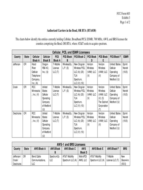 Fillable Online Fcc Form Exhibit Page Of Authorized Carriers