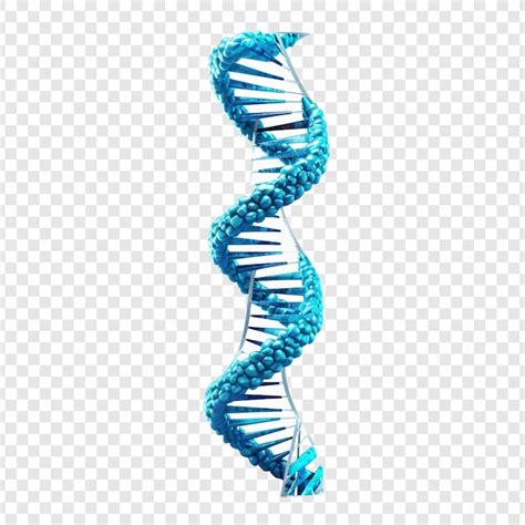 Free Psd D Blue Dna Helix Sequence Element Isolated On Transparent