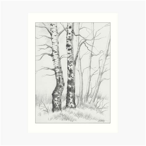 Birch Tree 01 Art Print By Rainbowart Redbubble