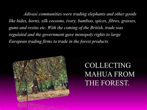 Forest Society And Colonialism Ppt