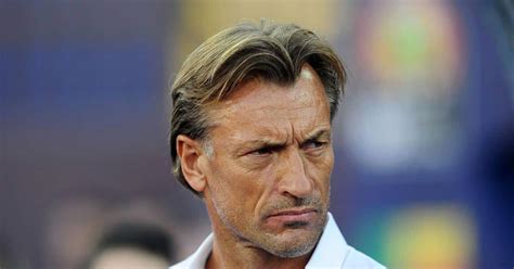 France Après Les Bleus Hervé Renard Se Prononce Sur Les Législatives