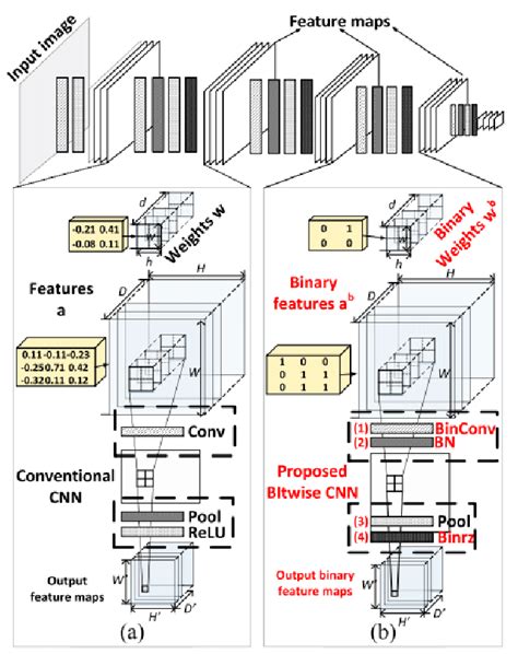 Computation Flow A Cnn And B Bnn Download Scientific Diagram