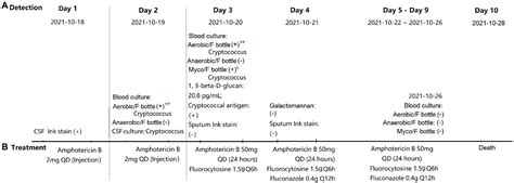 Subculturing And Gram Staining Of Blood Cultures Flagged Negative By