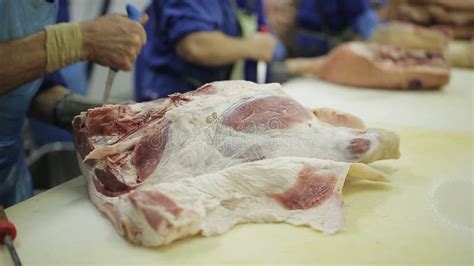 Reses Muertas De Cerdo En Una Planta De Tratamiento De La Carne