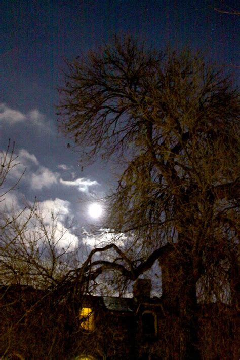 Peter S Photo Acoustic Alchemy Campus Under The Full Moon Ut