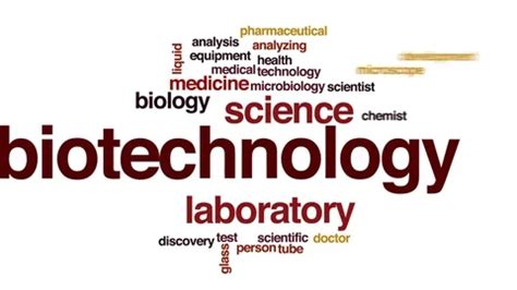 Biotechnology Animated Word Cloud Text Stock Video Pond5