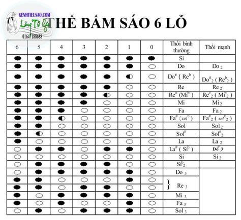 Sáo La Trầm Là Gì Cách Chọn Và Thổi Các Nốt Nhạc Trên Sáo La Trầm A4