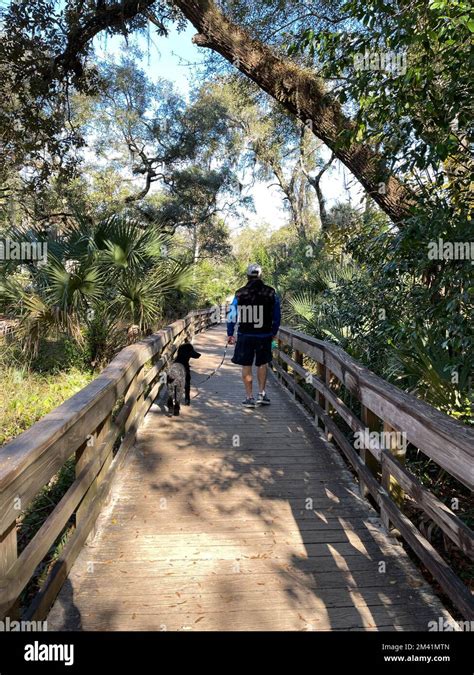 The Hiking Trails At A State Park In Orlando Florida Stock Photo Alamy