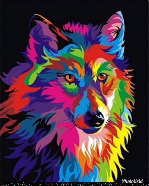 Rainbow Wolf Wallpapers - Top Free Rainbow Wolf Backgrounds ...