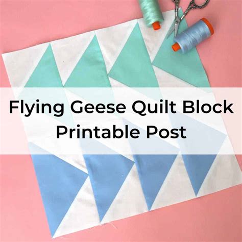 How To Make A Perfect Flying Geese Quilt Block The Seasoned Homemaker