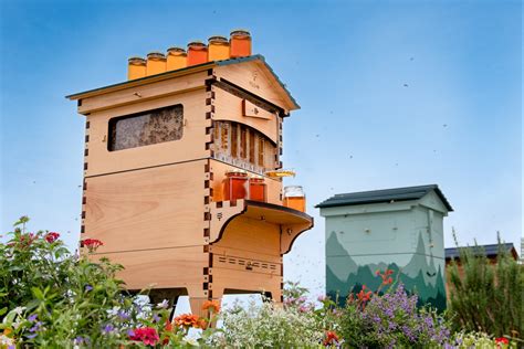 Flow Hive Takes The Hassle Out Of Honey Harvesting