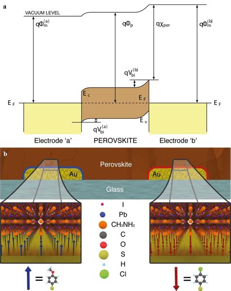 Back Contact Metal Perovskite Metal Solar Cells A Schematic Energy