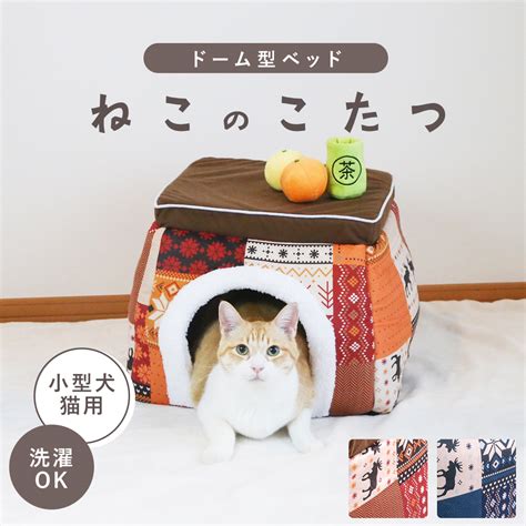 猫がこたつが好きな理由と注意することを解説！おすすめの猫用のこたつ4選 Uchinoco ＜うちの子＞