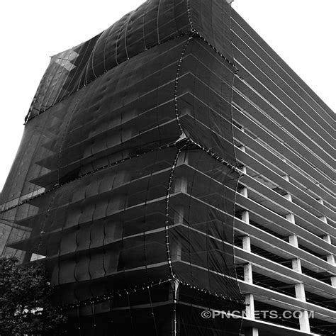 Debris Netting 8 Professional Netting Concepts