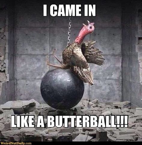 Hilarious Turkey Memes That Will Make You Gobble with Laughter