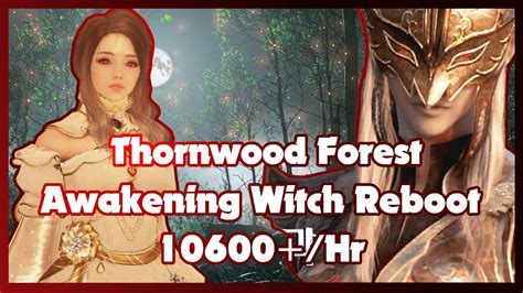 Thornwood Witch Awakening Reboot 309 AP Kutum 10600 Hr Blue Loot