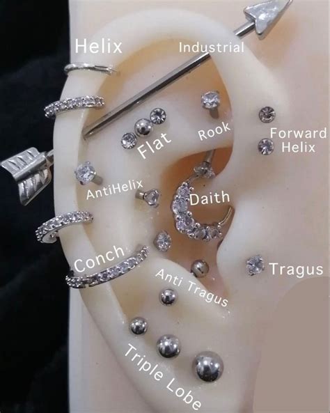 An Ear Is Shown With Different Types Of Piercings On The Inside And