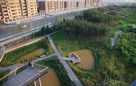 Qunli National Urban Wetland By Turenscape — Landscape Architecture