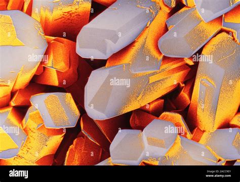 False Colour Scanning Electron Micrograph Sem Of Crystals Of Vitamin