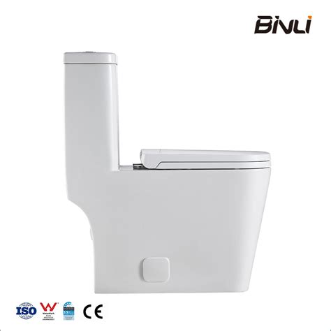 White Color S Trap Ceramic Watercloset One Piece Floor Mounted Dual