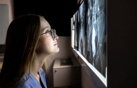 investment targets radiology services access  government nz