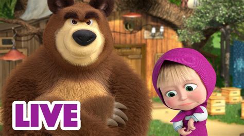 Live Masha E Orso Scusami Orso Cartoni Animati Per Bambini