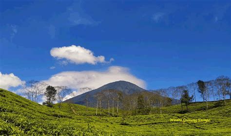 Objek Wisata Gunung Dempo Pagar Alam Yang Menakjubkan BAMS