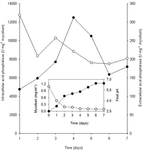 Time Course Of Aspergillus Niger Growth And Acid Phosphatase