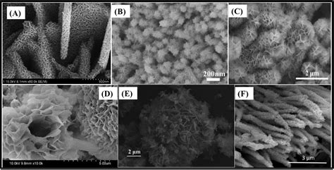 Recent Progress In Znco O And Its Composites For Energy Storage And