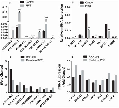 Validation Of Rna Seq Results With Real Time Pcr A B Relative