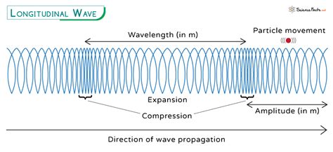 Longitudinal Wave Definition Characteristics And Examples