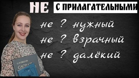 Правописание НЕ с прилагательными. Слитно или раздельно? - YouTube
