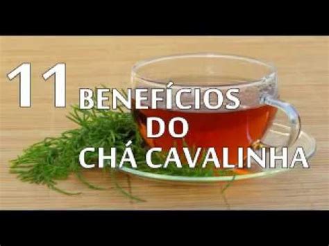 Chá de Cavalinha serve pra que Para emagrecer Modo de preparo