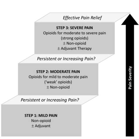 Who Three Step Analgesic Ladder Adapted From The Who Pain Relief Ladder Download Scientific